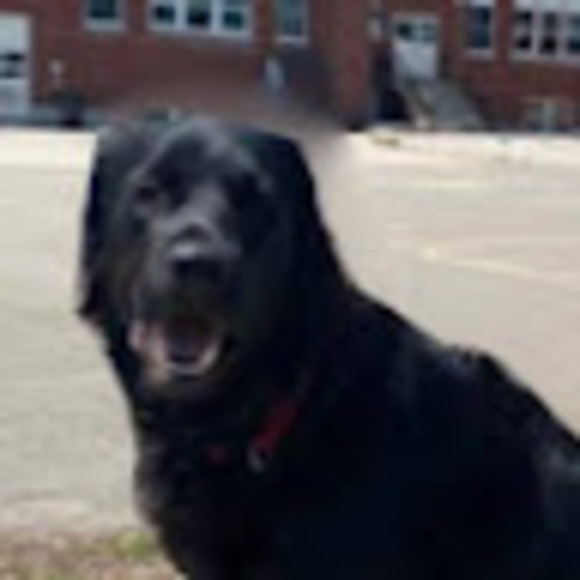 Meet your Posher, Rochelle - Picture 1 of 1